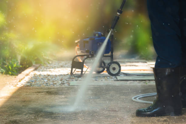 Best Sidewalk and Walkway Cleaning  in Tornado, WV